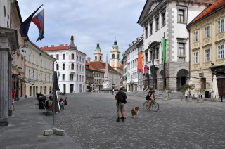 European street man dog cobblestones - ultra wide angle free wallpaper for desktop