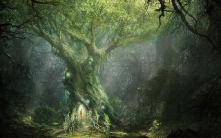 Tree forest light doorway painting - fantasy concept art free wallpaper for desktop