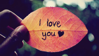 Person holding leaf i love - black ink free wallpaper