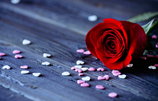 Red rose hearts table flower - scattered free wallpaper