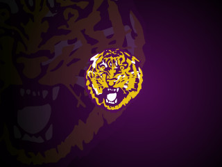 Tiger head purple background yellow - vector art free wallpaper