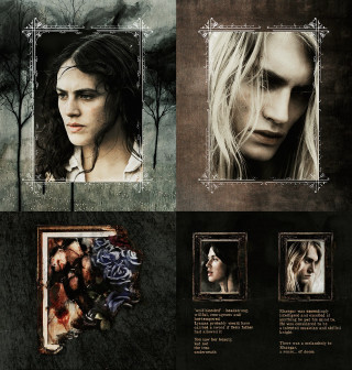 Woman long hair creepy face - brian and wendy froud free wallpaper for tablet