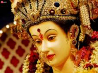 Woman costume flower hair smiling - her hair and a flower free wallpaper for desktop