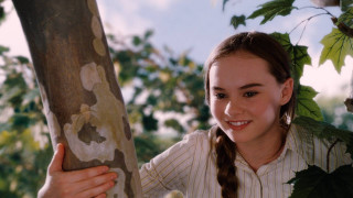 Girl holding tree trunk forest - movie free wallpaper