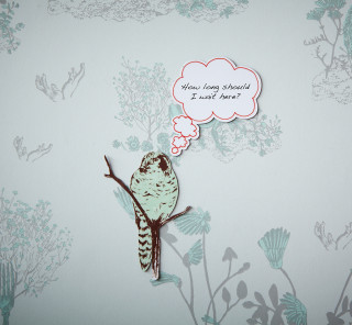 Bird branch thought bubble wait - a storybook illustration free wallpaper for tablet