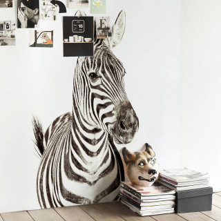 Zebra dog table wall pictures - free animals wallpaper for tablet