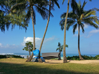 Tent palm trees beach blue - liminal space free wallpaper