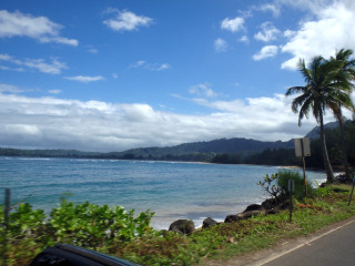 Car beach ocean palm trees - the side of the road free wallpaper