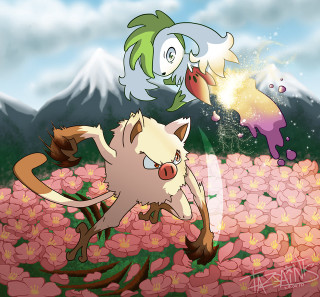Cartoon cat chasing bird flower - auto free wallpaper for tablet