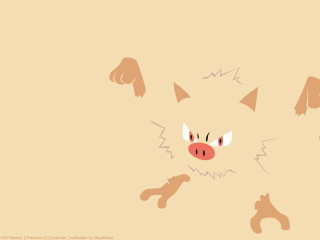 Cartoon cat smiling looking camera - free cats wallpaper for desktop