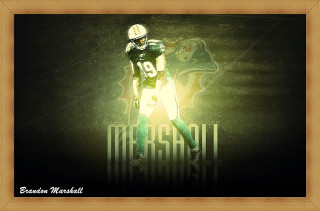 Football player green uniform gold - a gold frame free wallpaper