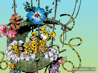 Basket flowers birds blue sky - bill watterson free wallpaper