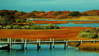 Marshy dock landscape brook sky - alexander brook free wallpaper for desktop