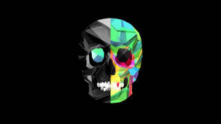 Colorful skull black background white - a white skull free wallpaper