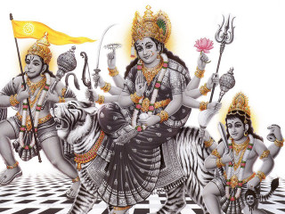 People riding zebra flag background - a zebra free wallpaper for desktop