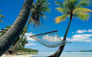 Hammock palm trees beach blue - a blue sky and ocean in the background free wallpaper