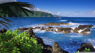 Rocky beach boat palm tree - a blue ocean free wallpaper