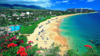 Beach crowd flowers building background - a beach free wallpaper for desktop