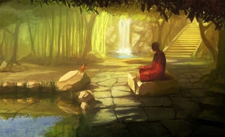 Person sitting rock forest bird - a pond free wallpaper