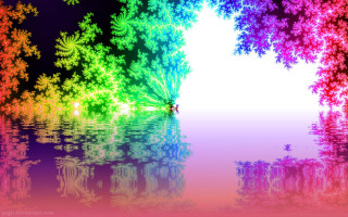Colorful tree water reflection background - water free wallpaper for desktop