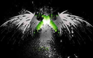Green white bird black background - white wing free wallpaper