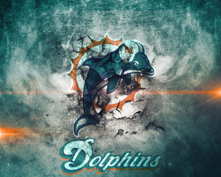 Dolphins splash paint face image - a splash of paint free wallpaper for desktop