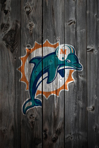 Dolphins logo painted wooden fence - the side free wallpaper for mobile