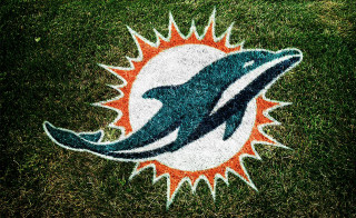 Dolphins logo grass sun background - art fitzpatrick free wallpaper