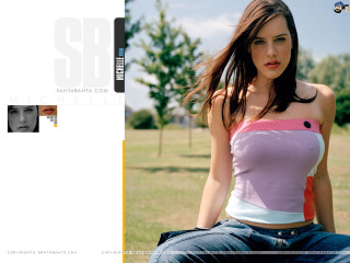 Pink top bench field outdoors - dark background free wallpaper