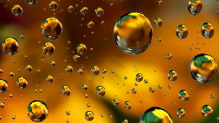 Bubbles window yellow flower green - a window pane free wallpaper for desktop