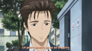 Man suit tie building tree - spanish free wallpaper