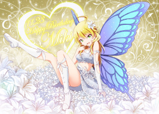 Fairy heart sign butterfly leg - a fairy free wallpaper