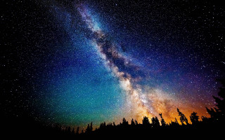Night sky starry tree line 2 - a night sky free wallpaper