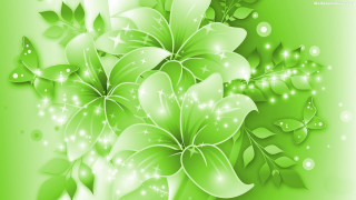Green background white flowers leaves - environmental free wallpaper for desktop