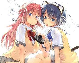 Anime girls pose camera cat - fish eye free wallpaper