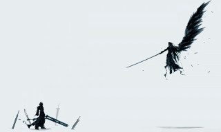 Person walking snow bird flying - behind them free wallpaper