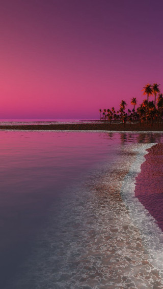 Beach pink sky palm trees - a beach free wallpaper for mobile