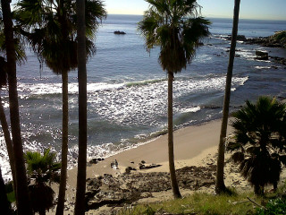 Beach palm trees boat people - palm tree and a boat free wallpaper