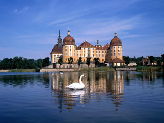 Swan swimming lake large building - tower free wallpaper for desktop