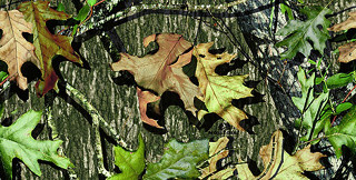 Leaves tree trunk woods background - a group of leaves free wallpaper