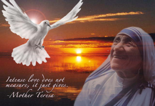 Woman dove sunset quote mother - bapu free wallpaper for desktop