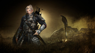 Man armor field bird shoulder - his shoulder and a bird free wallpaper for desktop