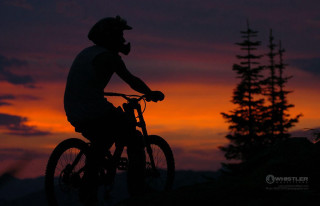 Man riding bike sunset tree - a bike free wallpaper for desktop