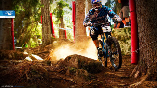 Man bike dirtroad forest flags - a dirt road next free wallpaper
