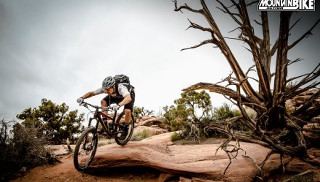 Man bike dirt road tree - full round face free wallpaper