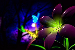 Flower butterfly night lightshow tree - mystical free wallpaper for desktop