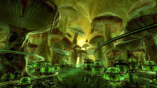 Mushrooms forest green lights yellow - a yellow light free wallpaper
