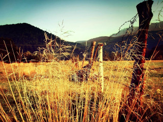 Fence field mountain grass foreground - in a field free wallpaper