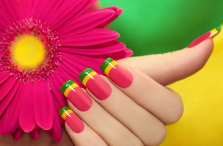 Womans hand pink flower yellow 2 - a womans hand free wallpaper for desktop