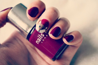 Woman holding nail polish red - a woman holding free wallpaper for desktop